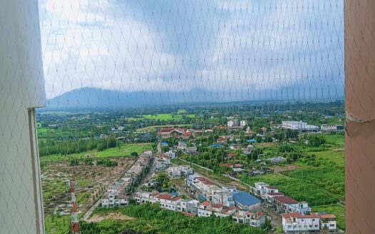 Springfield Beach Resort Condo